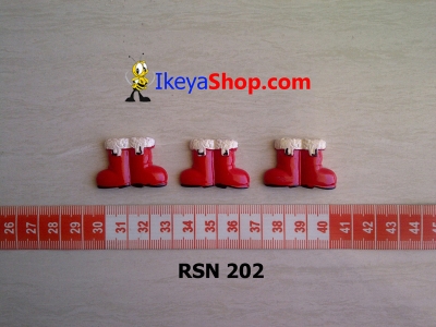 rsn 202  large2